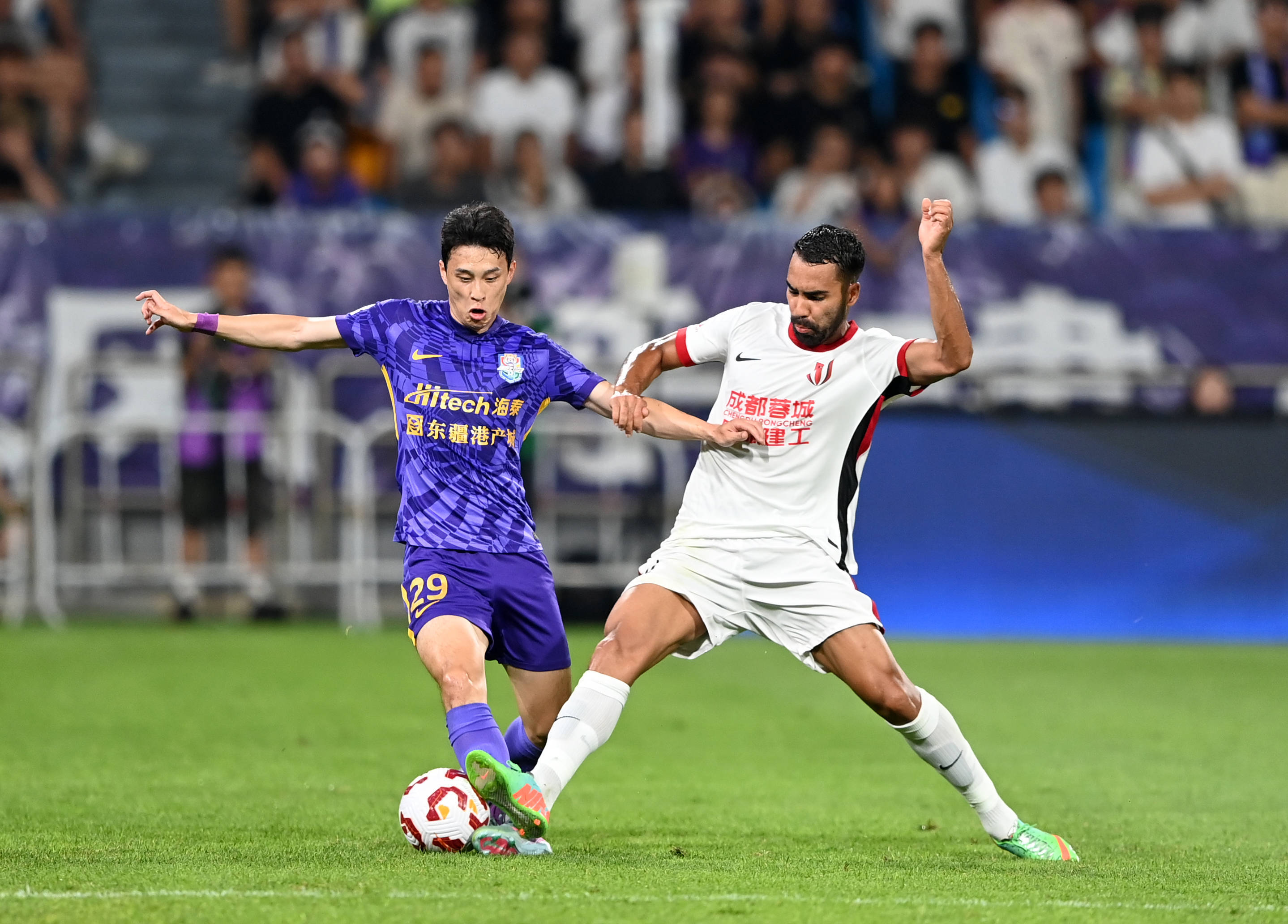 的一大特征 的一大特征